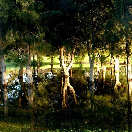 Lure Bed And Breakfast Normanville Bagian luar foto