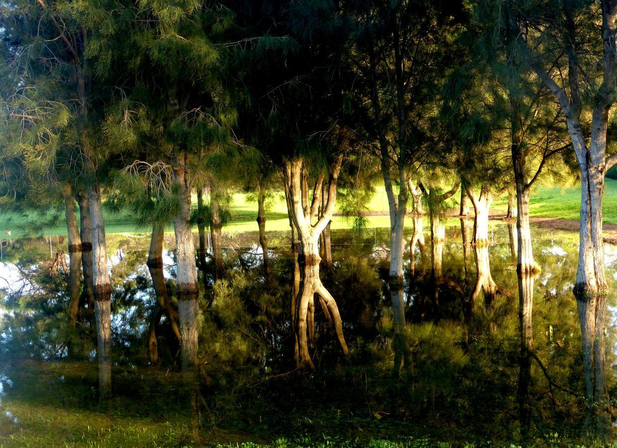 Lure Bed And Breakfast Normanville Bagian luar foto